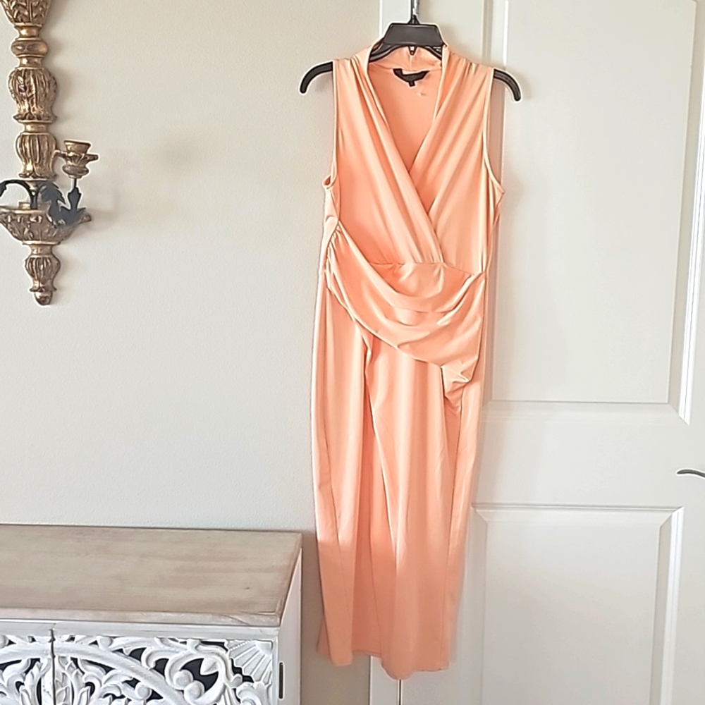 Rachel Roy dress
